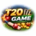 T20 Game