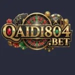 Qaidi804 Game